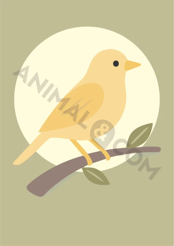 poster éco-responsable - canari