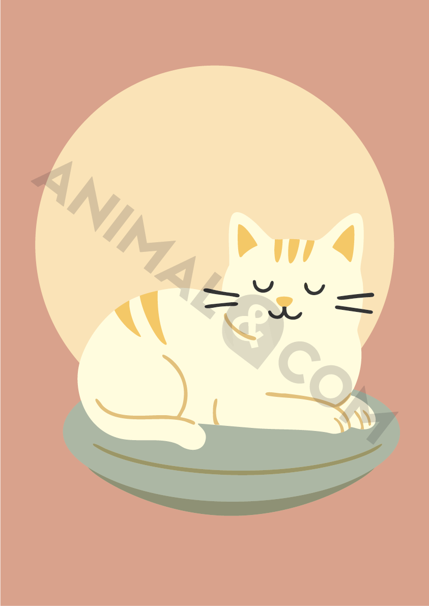 poster éco-responsable - chat