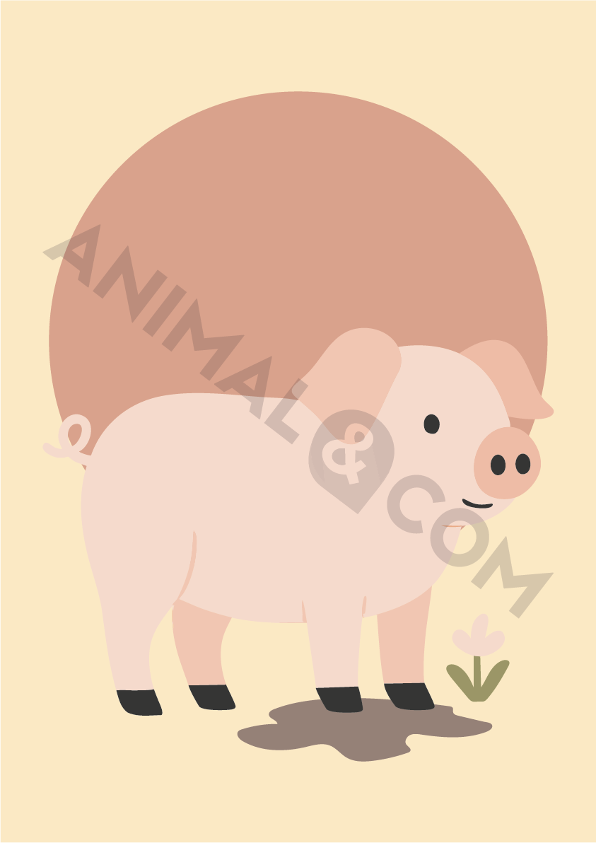 poster éco-responsable - cochon