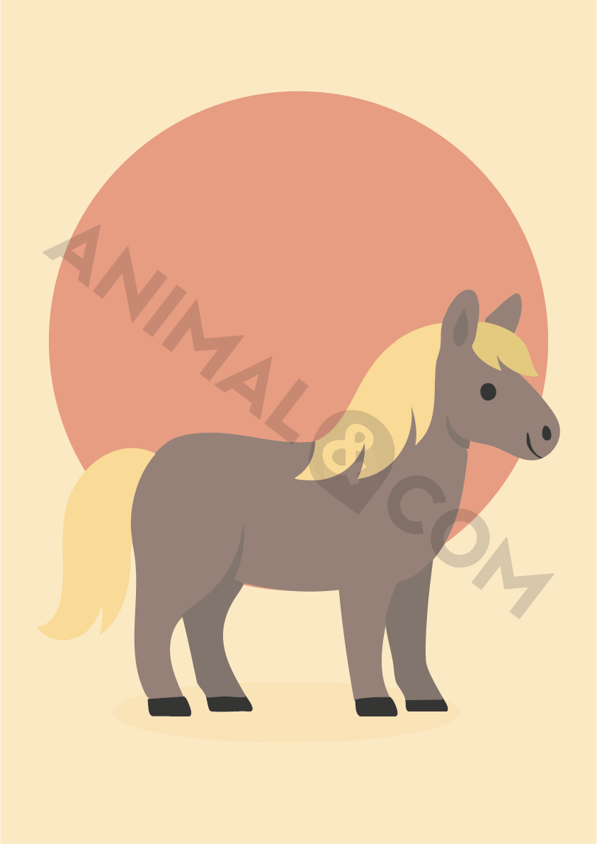 poster éco-responsable - poney