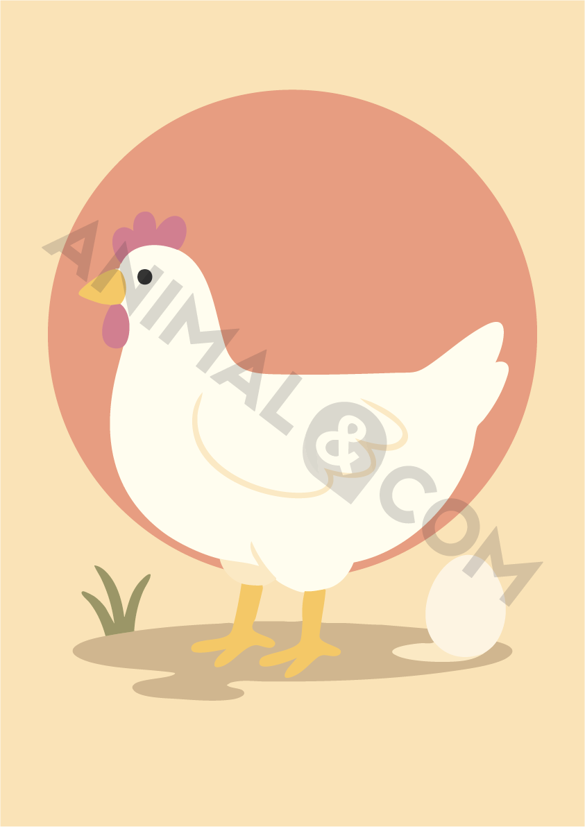 poster éco-responsable - poule