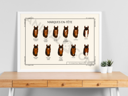 Mockup poster marques en-tête cheval