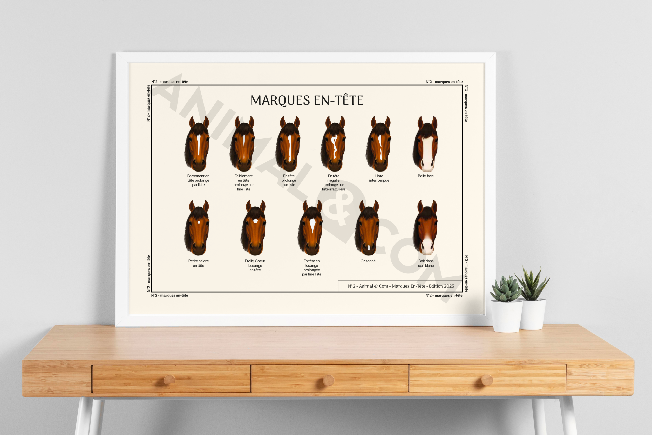 Mockup poster marques en-tête cheval