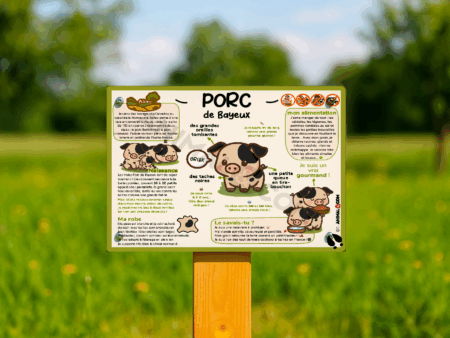 visuel d'un panneau pédagogique ludique sur le porc de bayeux