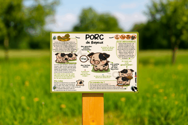 visuel d'un panneau pédagogique ludique sur le porc de bayeux