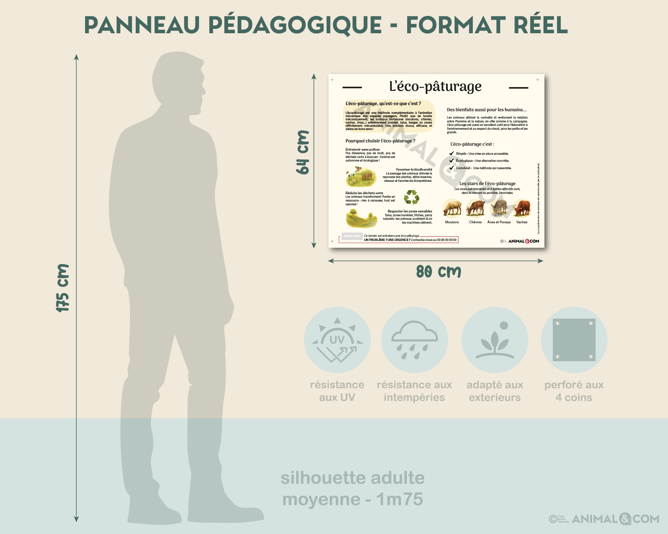 Panneau pédagogique - Eco-pâturage – Image 3