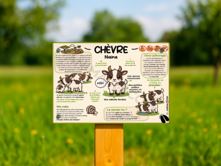 visuel d'un panneau pédagogique ludique sur la chèvre naine